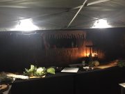 LT-30 led accu lamp
