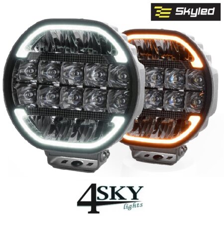 Scallop Dynamic 9X